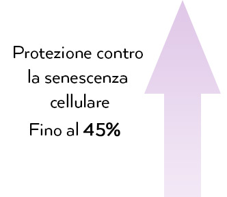 protezione ontro senescenza cellulare